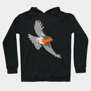 Bird Watching Birds Birding Hoodie